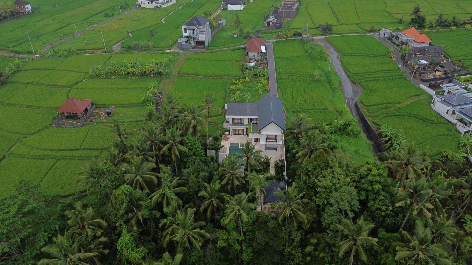 Honey Villa Ubud By Island Escape Екстер'єр фото